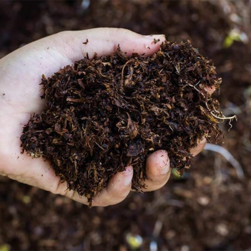 Fertilizers & Manure